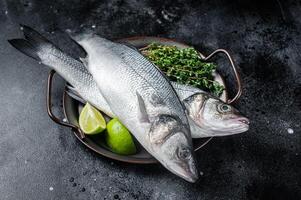 Fresh Raw Sea Bass, Labrax fish with herbs and lime. Black background. Top view photo