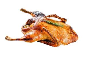Baked duck stuffed with oranges and rosmarina. Festive table. Isolated on white background. Top view. photo