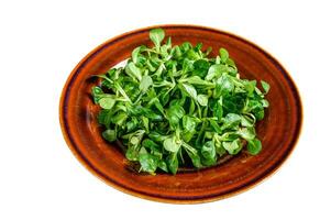 Fresh green corn salad leaves on a rustic plate. Isolated on white background. photo