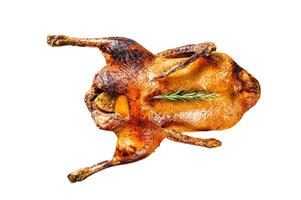 Baked chicken stuffed with oranges and rosmarina. Festive table. Isolated on white background. Top view. photo