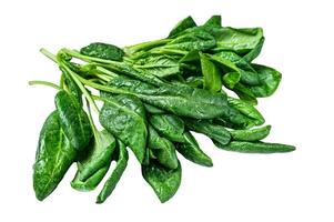 Raw fresh spinach leaves Isolated on white background, Top view. photo
