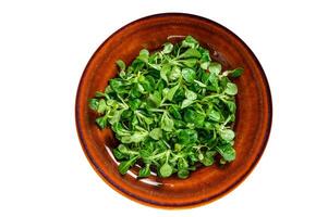 Fresh green corn salad leaves on a rustic plate. High quality Isolate, white background. photo