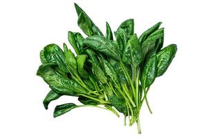 Raw fresh spinach leaves Isolated on white background, Top view. photo