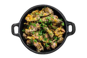 Chicken liver, heart and stomach in cream sauce. Isolated on white background. photo