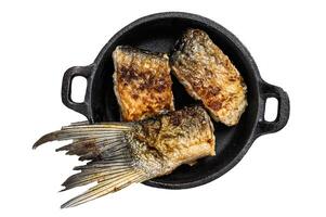 Roasted piece of silver carp. Isolated on white background. photo