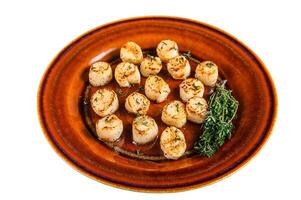 Fried scallops with butter spicy sauce in a plate. Isolated on white background. photo
