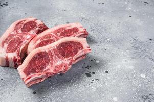 Raw fresh meat lamb mutton saddle. Gray background. Top view. Copy space photo