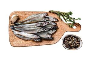 Fresh raw sea small fish smelt. Isolated on white background. Top view. photo