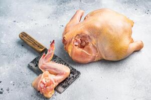 A raw chicken wing sits on a cutting board next to a whole chicken on a gray surface photo