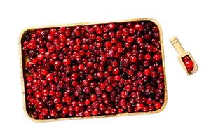 Ripe red cranberries in a wooden bowl. Isolated on white background. Top view. photo