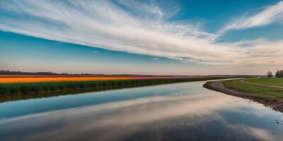 Sky on cozy field blowing river colors field rolling reflected free colors bloom horizon rolling illuminating shore river lake surface rolling. photo