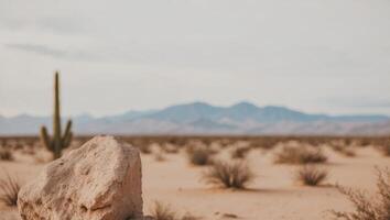desert landscape with foreground object and background object. photo