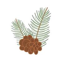 Christmas pine cone, branch, spruce and fir, evergreen icon, isolated on white background. vector