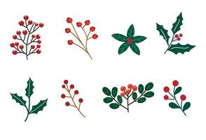 Set of winter leaf and berries illustration for Christmas design element. icon isolated on white background. vector