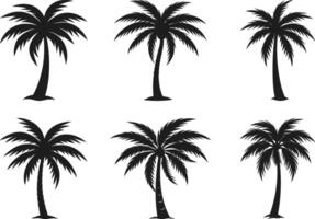 Set of Palm Tree Silhouette - Tropical Collection for Beach, Summer, and Travel Designs vector