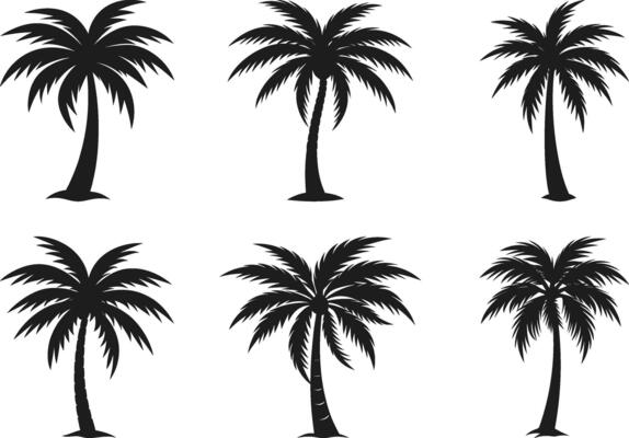 Set of Palm Tree Silhouette - Tropical Collection for Beach, Summer, and Travel Designs
