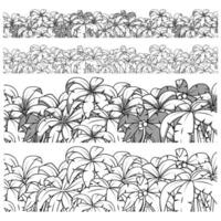 Palm tree ornament background horisontal colorless texture illustration vector
