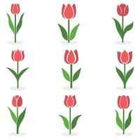 Tulip coloring icon silhouette with stem and leaves on a white background. vector