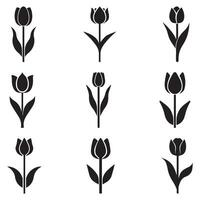 Tulip black icon silhouette with stem and leaves on a white background. vector