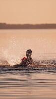 Boy playing in river water. Silhouette of boy playing splash water in river during sunset Vertical video