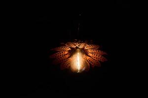 An Elegant Pendant Light with Leaf Design Obscuring Shadows While Illuminating Dark Space photo