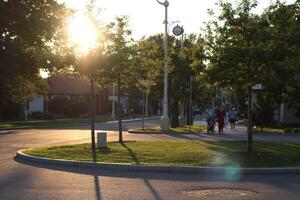 A sunset stroll in a beautiful park provides a serene setting for relaxation and enjoyment photo