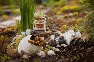 Discover a Serene and Aesthetic Garden Decor Featuring Beautiful Succulents and Natural Elements photo