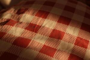 A beautifully textured fabric that features a checkered pattern in red and cream colors photo