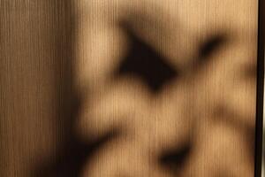 Exploring Abstract Shadow Play on a Textured Background Filled with Depth and Artistic Flair photo