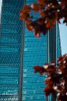 A modern skyscraper set against colorful autumn leaves, creating a vibrant urban scene photo