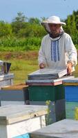 Beekeeper is working with bees and beehives on the apiary. Beekeeper on apiary. Vertical video