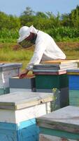 Beekeeper is working with bees and beehives on the apiary. Beekeeper on apiary. Vertical video