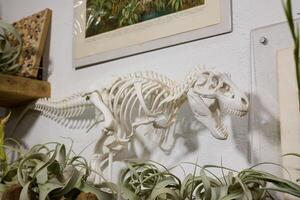 An Intriguing Display of a Dinosaur Skeleton Set in a Modern and Stylish Indoor Environment photo