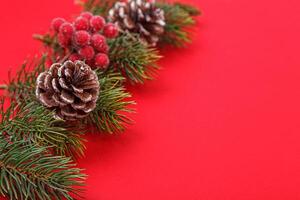 Christmas tree branches with cones on a red background photo