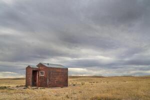 old, metal, rusty shack on a prairie photo