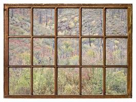 tapestry of shrubs in fall colors - window view photo