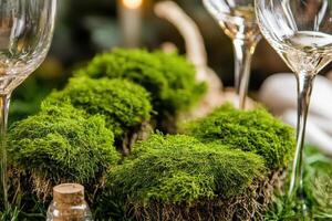 A table with a glass of wine and a glass of water photo