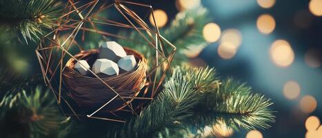 A bird nest on a christmas tree with a light background photo