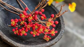 A bowl with red flowers sitting on top of a stone photo