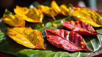 A plate with colorful leaves on it photo