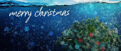 Merry christmas underwater christmas background photo