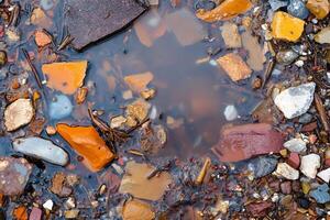 A puddle of water with many different colored rocks photo