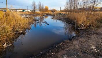 A dirty stream in the middle of a field photo