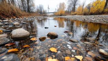 A river with rocks and leaves in the water photo
