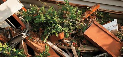 A pile of debris and plants in front of a house photo