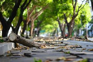 A tree that is leaning on the sidewalk photo