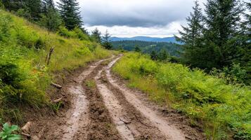 A muddy trail winding through a lush green landscape under cloudy skies. photo