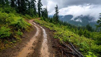 A winding dirt path through a lush, mountainous landscape under cloudy skies. photo