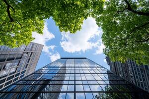 A view of tall buildings with trees in front of them photo