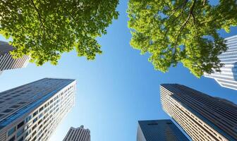 A view of tall buildings with trees in front of them photo